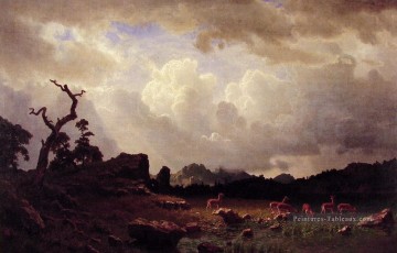 Orage dans les montagnes Rocheuses Albert Bierstadt paysages Rivières Peinture à l'huile